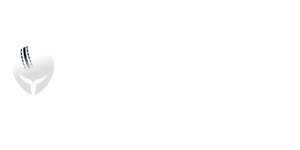 CricHeroes